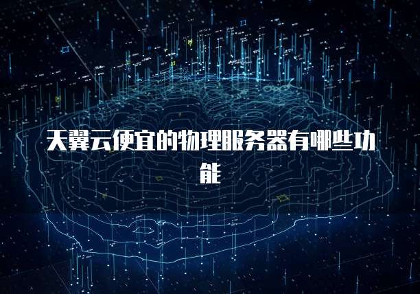 天翼云便宜的物理服务器有哪些功能
