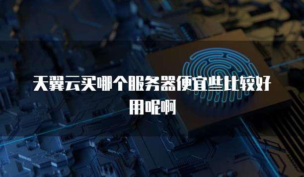 天翼云买哪个服务器便宜些比较好用呢啊