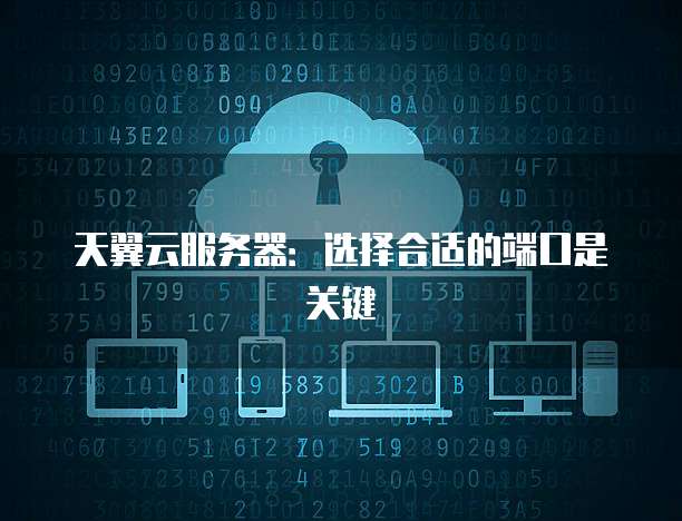 天翼云服务器:选择合适的端口是关键