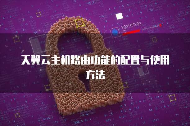 天翼云主机路由功能的配置与使用方法