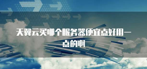 天翼云买哪个服务器便宜点好用一点的啊
