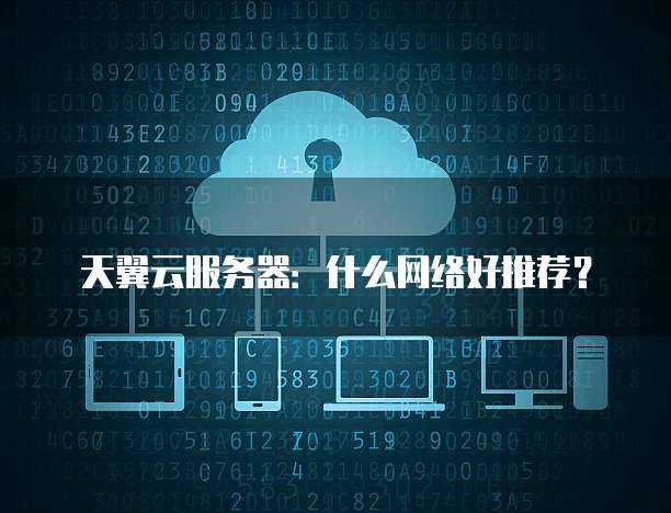 天翼云服务器:什么网络好推荐?