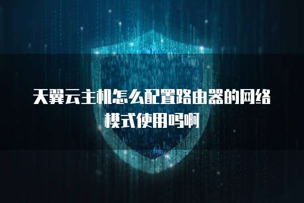 天翼云主机怎么配置路由器的网络模式使用吗啊