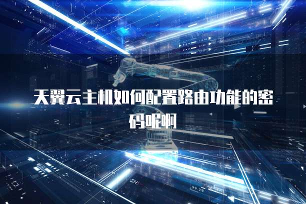 天翼云主机如何配置路由功能的密码呢啊