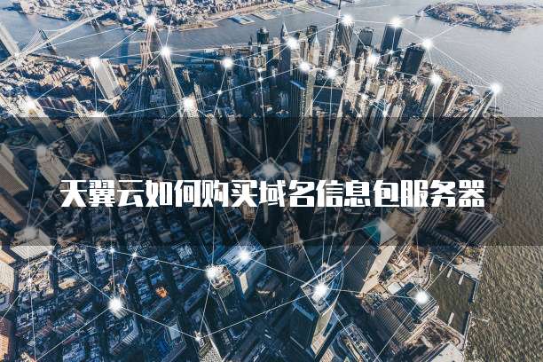 天翼云如何购买域名信息包服务器