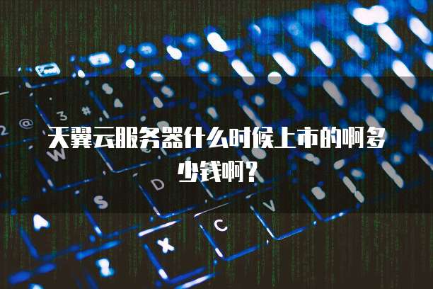 天翼云服务器什么时候上市的啊多少钱啊？