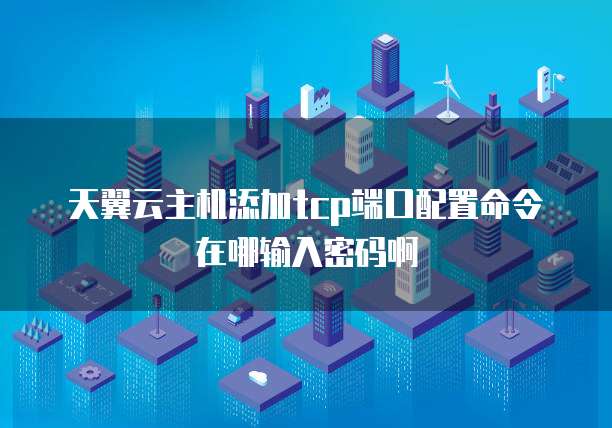 天翼云主机添加tcp端口配置命令在哪输入密码啊