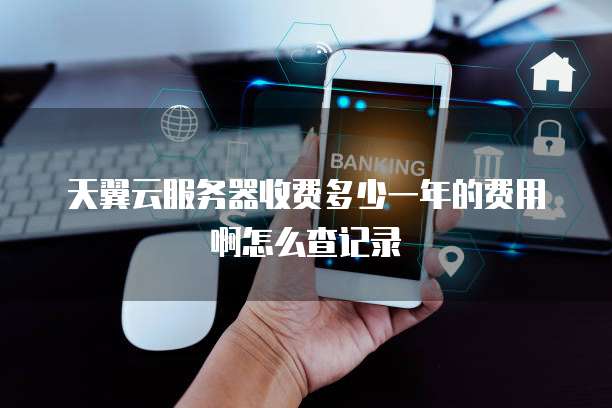 天翼云服务器收费多少一年的费用啊怎么查记录