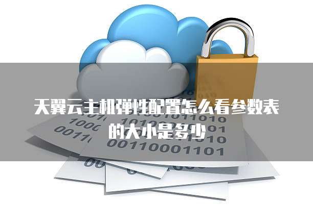天翼云主机弹性配置怎么看参数表的大小是多少