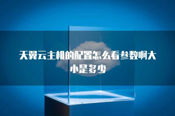 天翼云主机的配置怎么看参数啊大小是多少