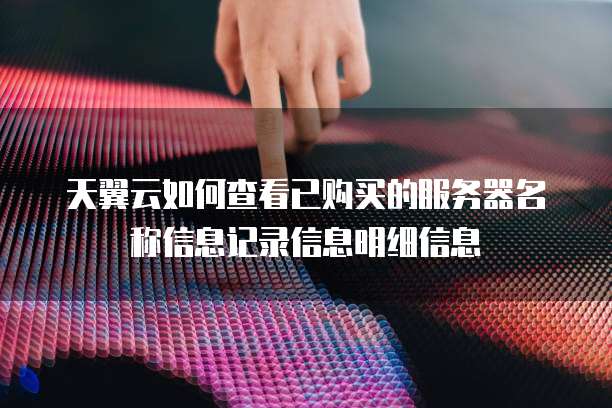 天翼云如何查看已购买的服务器名称信息记录信息明细信息
