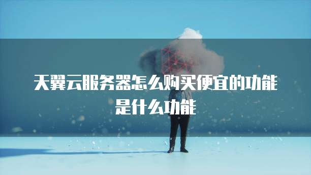 天翼云服务器怎么购买便宜的功能是什么功能