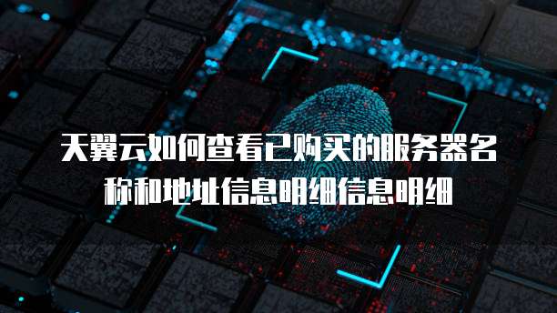 天翼云如何查看已购买的服务器名称和地址信息明细信息明细