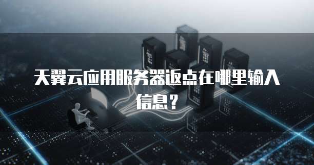 天翼云应用服务器返点在哪里输入信息?