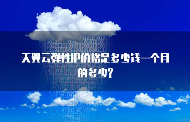 天翼云弹性IP价格是多少钱一个月的多少?