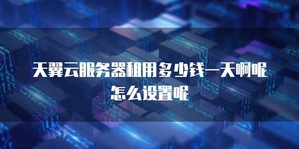 天翼云服务器租用多少钱一天啊呢怎么设置呢