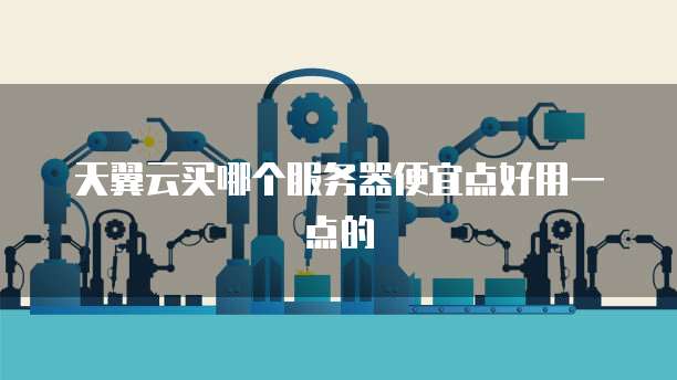 天翼云买哪个服务器便宜点好用一点的