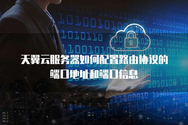 天翼云服务器如何配置路由协议的端口地址和端口信息