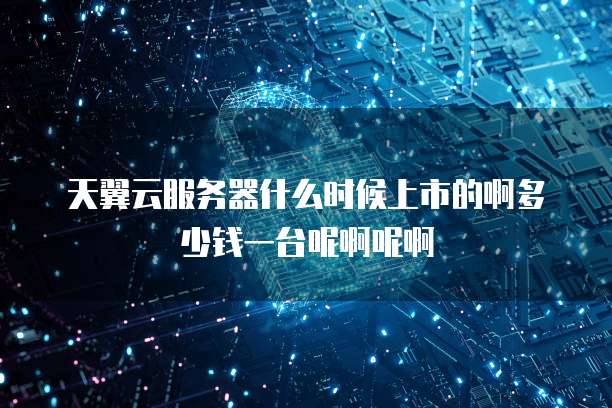 天翼云服务器什么时候上市的啊多少钱一台呢啊呢啊