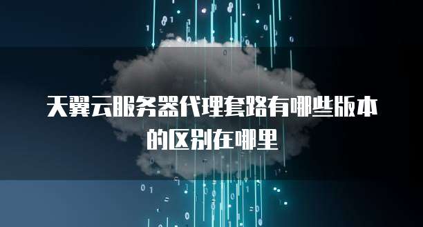 天翼云服务器代理套路有哪些版本的区别在哪里
