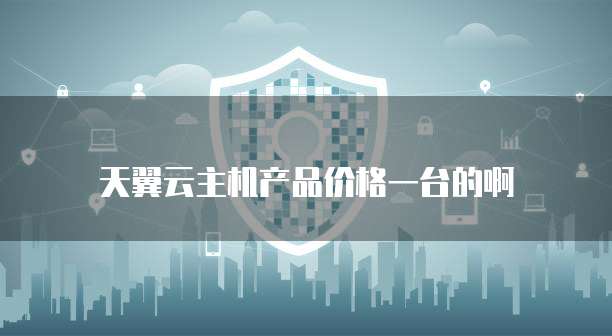 天翼云主机产品价格一台的啊