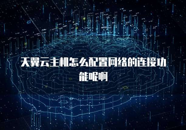 天翼云主机怎么配置网络的连接功能呢啊