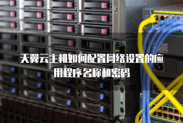 天翼云主机如何配置网络设置的应用程序名称和密码
