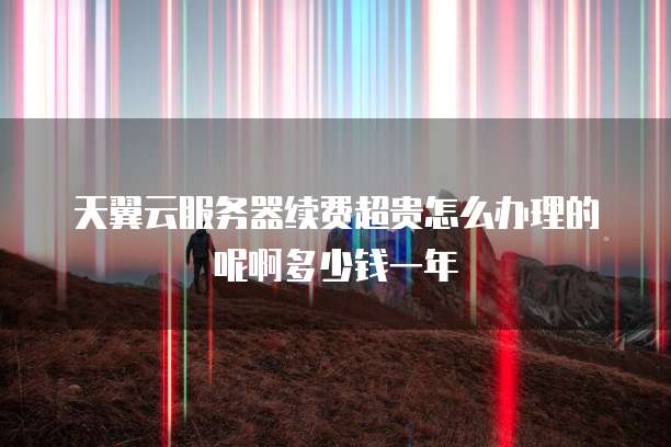 天翼云服务器续费超贵怎么办理的呢啊多少钱一年