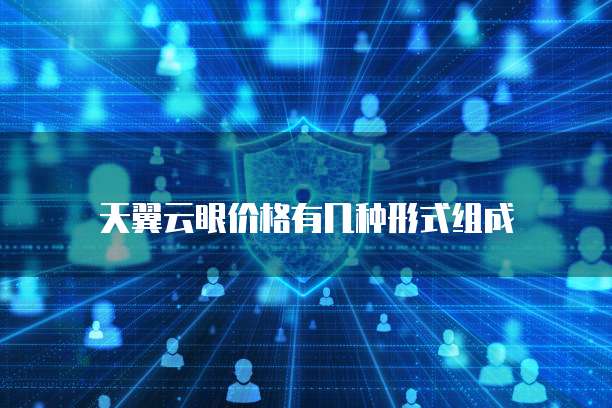 天翼云眼价格有几种形式组成