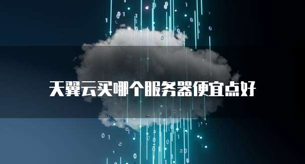 天翼云买哪个服务器便宜点好