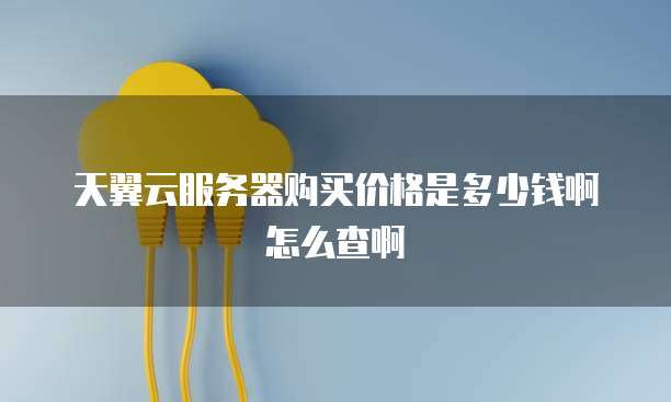 天翼云服务器购买价格是多少钱啊怎么查啊