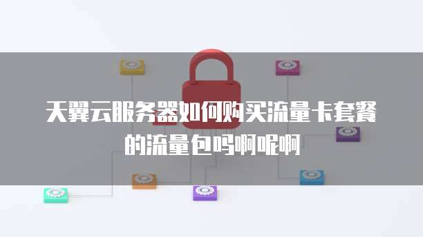 天翼云服务器如何购买流量卡套餐的流量包吗啊呢啊