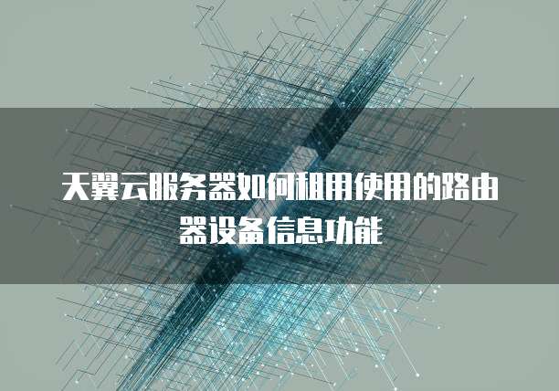 天翼云服务器如何租用使用的路由器设备信息功能