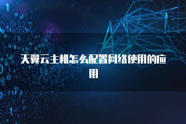 天翼云主机怎么配置网络使用的应用