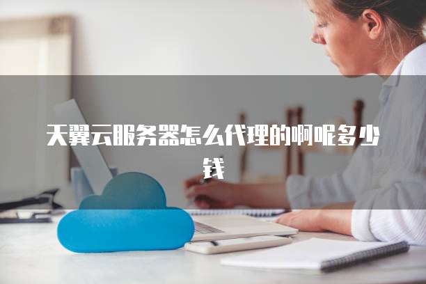 天翼云服务器怎么代理的啊呢多少钱