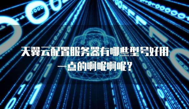 天翼云配置服务器有哪些型号好用一点的啊呢啊呢?