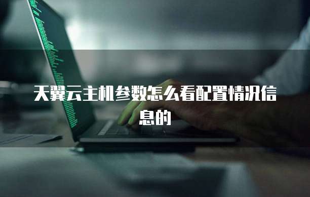 天翼云主机参数怎么看配置情况信息的
