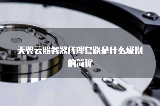 天翼云服务器代理套路是什么级别的简称