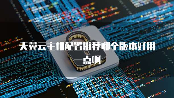 天翼云主机配置推荐哪个版本好用一点啊