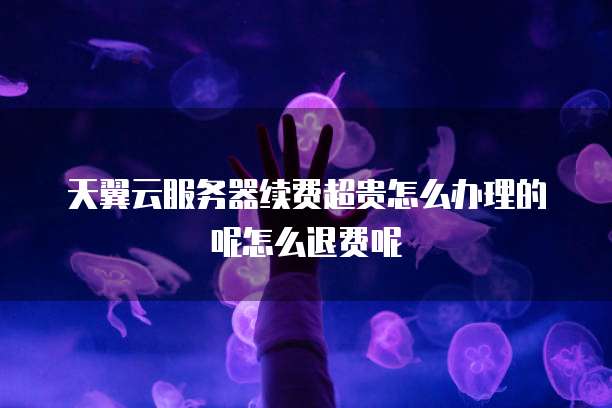 天翼云服务器续费超贵怎么办理的呢怎么退费呢