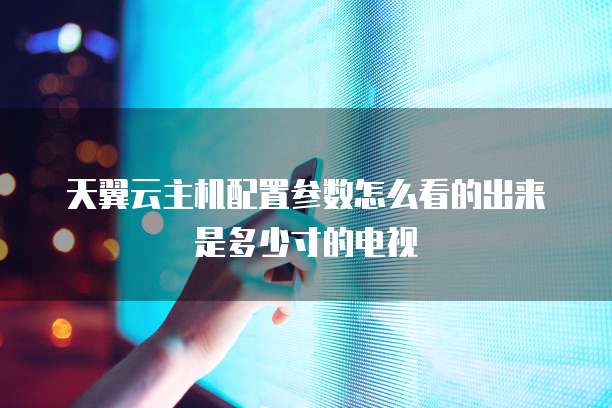 天翼云主机配置参数怎么看的出来是多少寸的电视