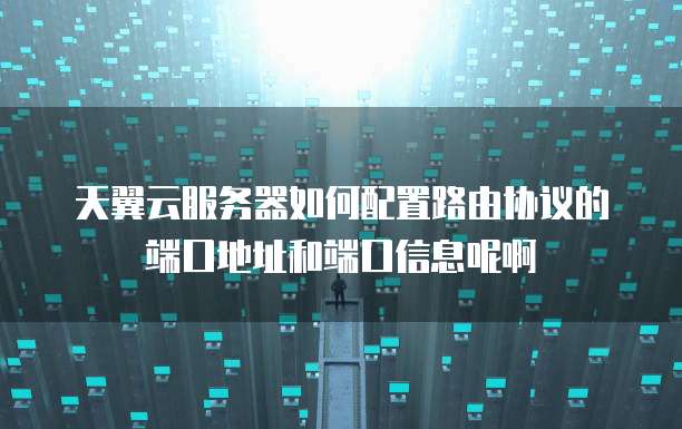 天翼云服务器如何配置路由协议的端口地址和端口信息呢啊
