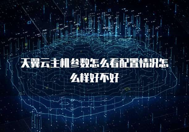 天翼云主机参数怎么看配置情况怎么样好不好