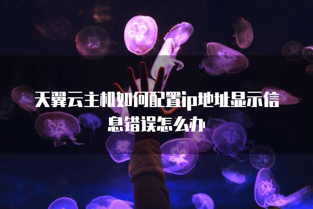 天翼云主机如何配置ip地址显示信息错误怎么办