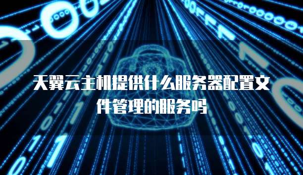 天翼云主机提供什么服务器配置文件管理的服务吗