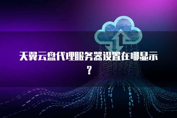 天翼云盘代理服务器设置在哪显示?