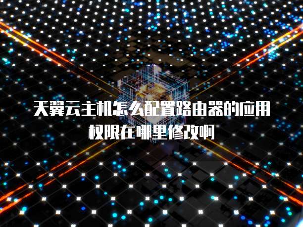 天翼云主机怎么配置路由器的应用权限在哪里修改啊
