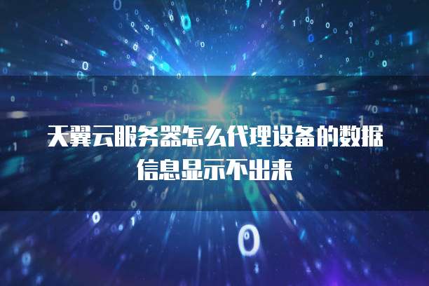 天翼云服务器怎么代理设备的数据信息显示不出来