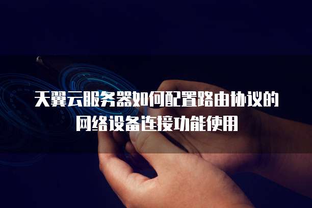 天翼云服务器如何配置路由协议的网络设备连接功能使用