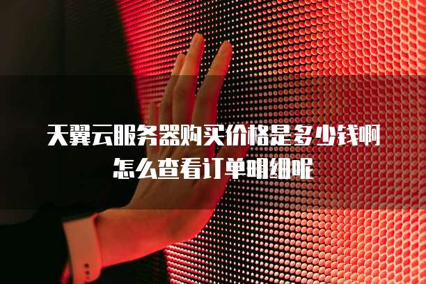 天翼云服务器购买价格是多少钱啊怎么查看订单明细呢